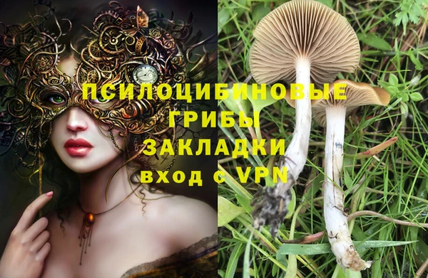 спиды Арсеньев