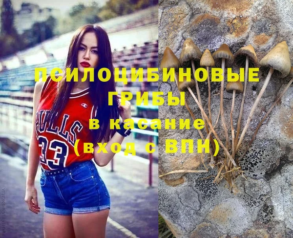 прущая мука Аркадак