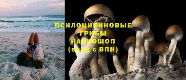 прущая мука Аркадак