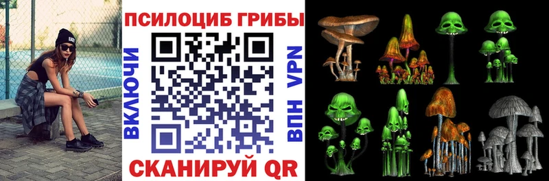 Псилоцибиновые грибы Psilocybe  Боготол 